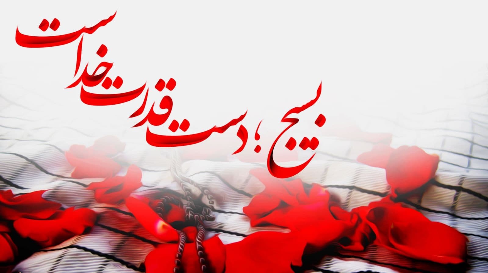 فعالیت در بسیج